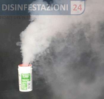 bomba pulci insetticida