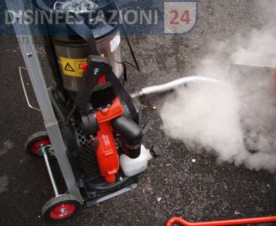 Disinfestazione Blatte