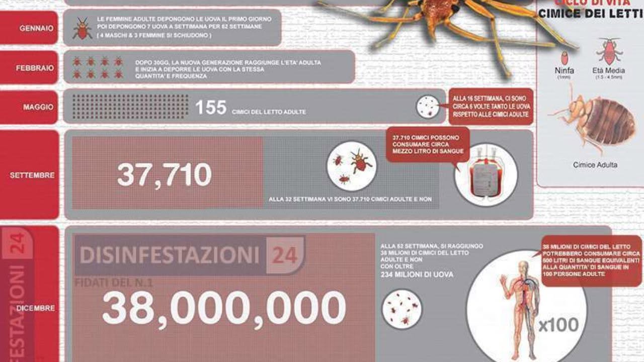 Cimici dei Letti e Pulci